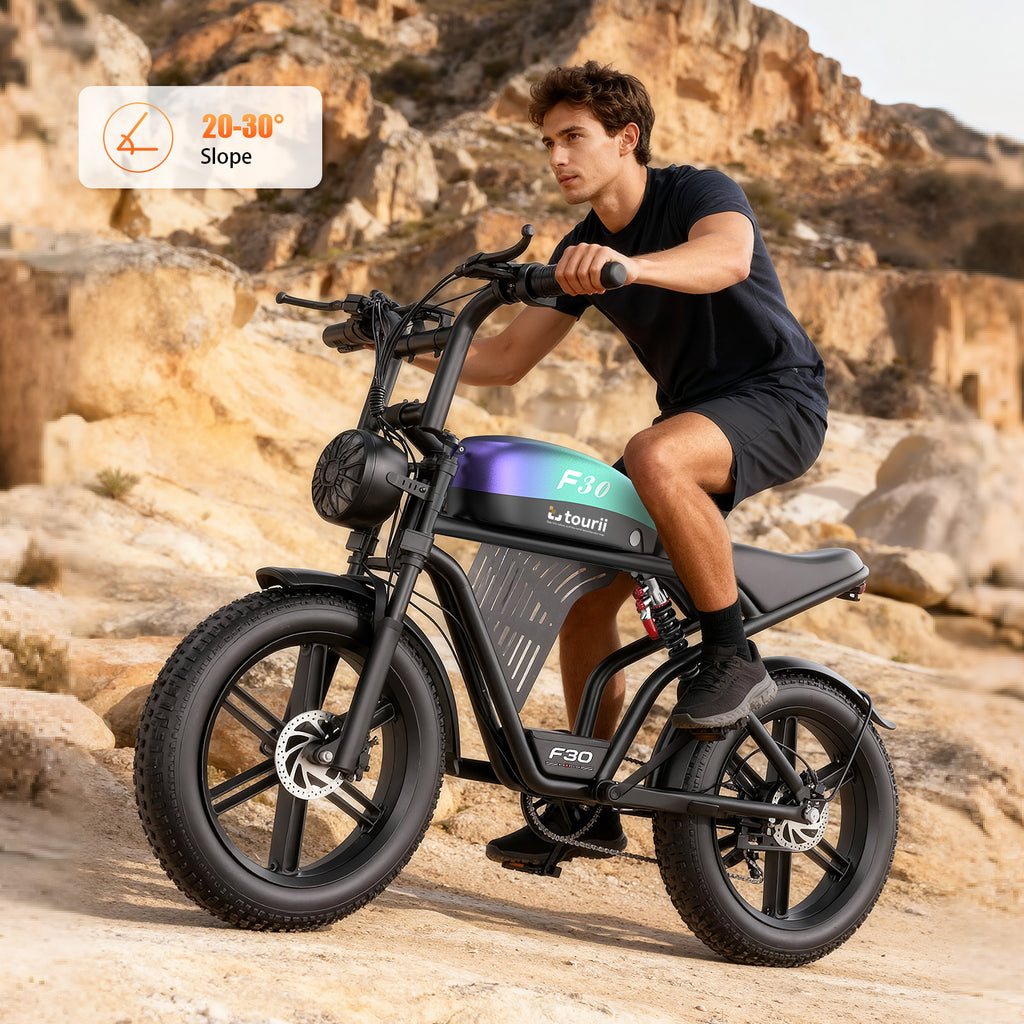Tourii F30 20 inch adult electric bicycle, peak 1500W, LCD instrument all terrain off-road electric vehicle, suitable for mountains, snow, sand and highways