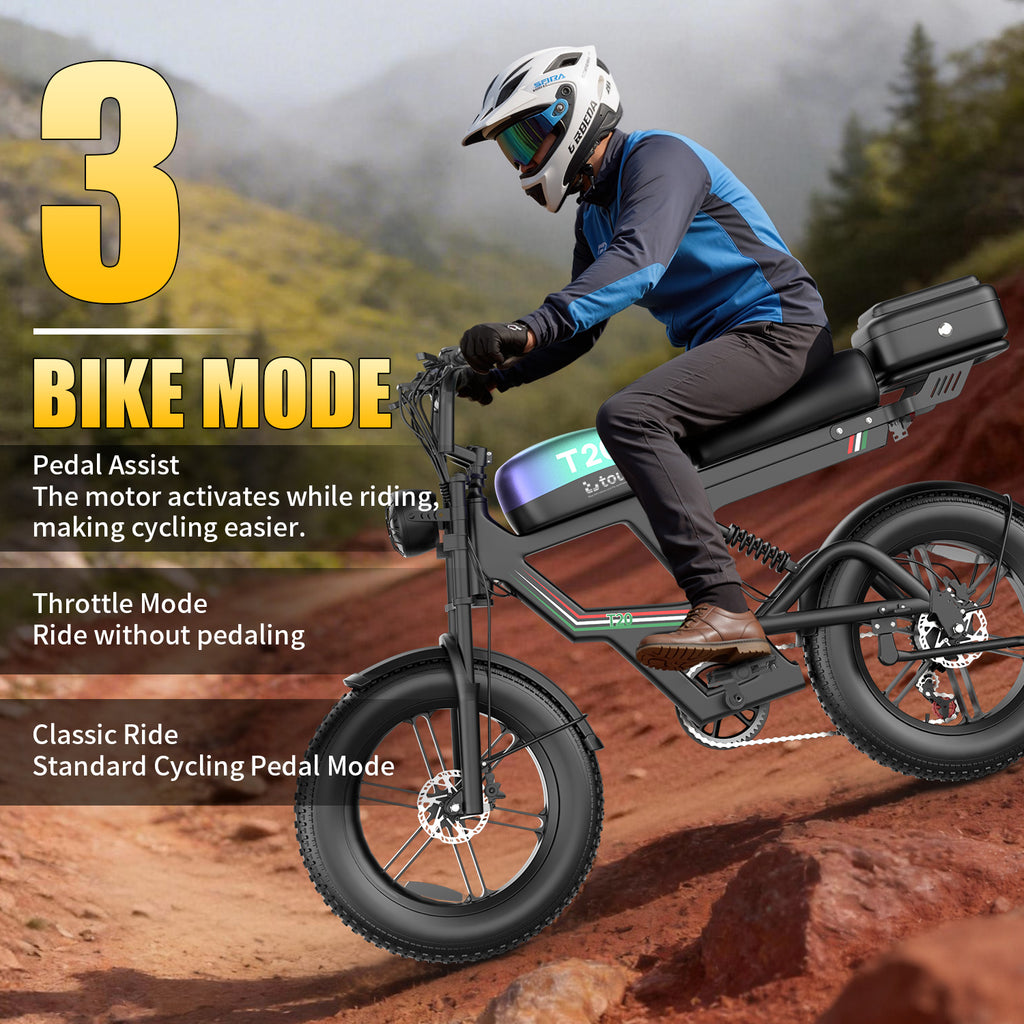 Tourii T20  retro electric motorcycle, fat tire, snow electric bicycle 20 inch