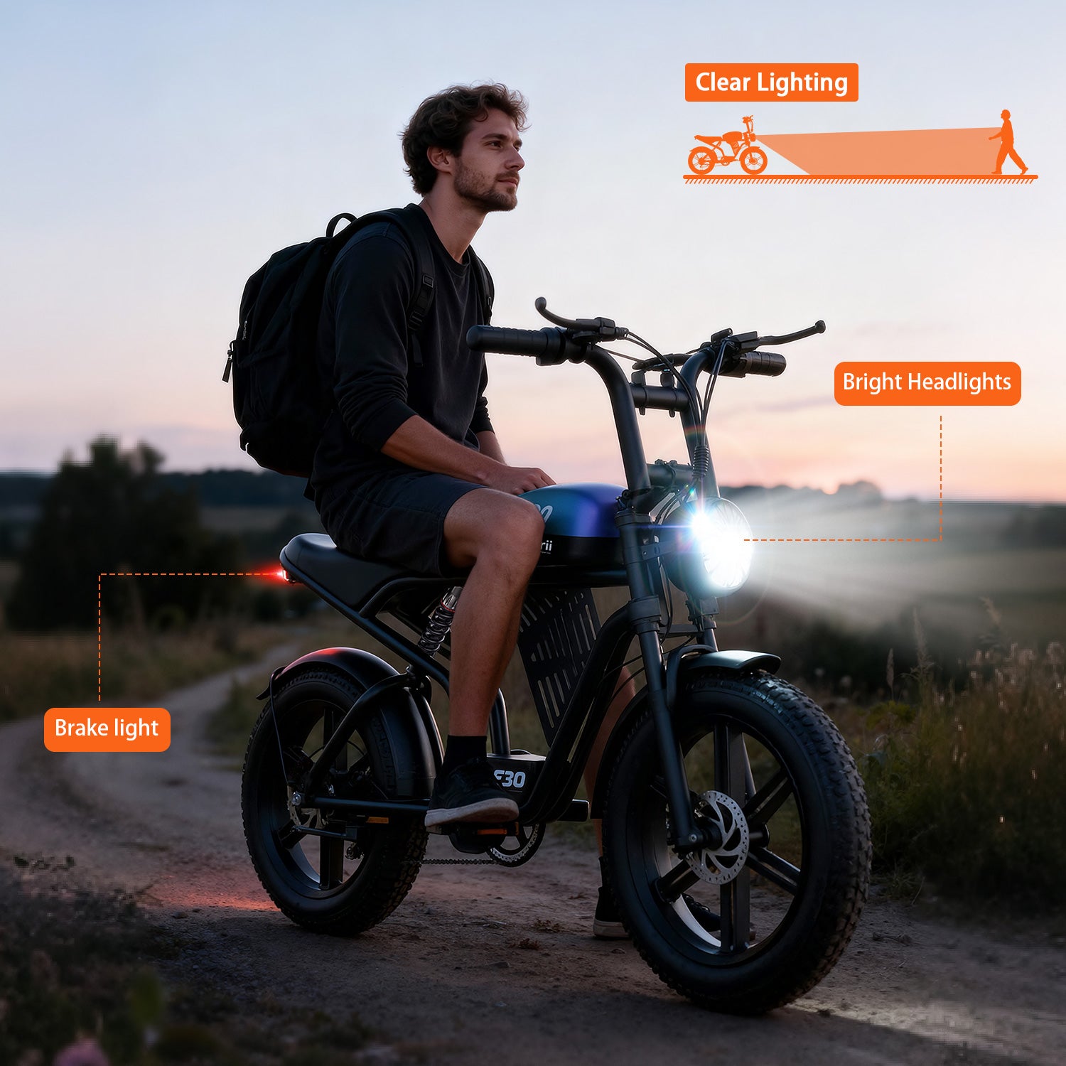 Tourii F30 20 inch adult electric bicycle, peak 1500W, LCD instrument all terrain off-road electric vehicle, suitable for mountains, snow, sand and highways