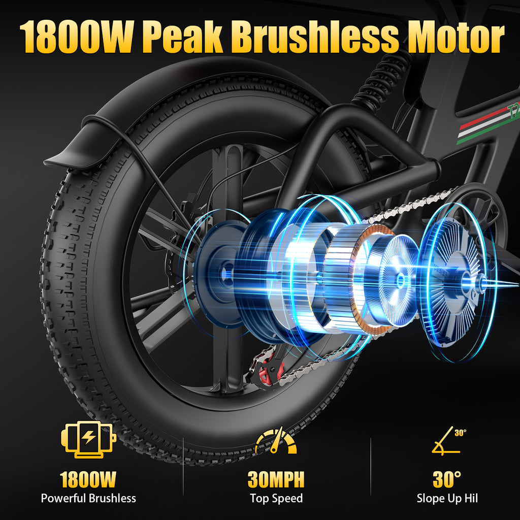 Tourii T20  retro electric motorcycle, fat tire, snow electric bicycle 20 inch