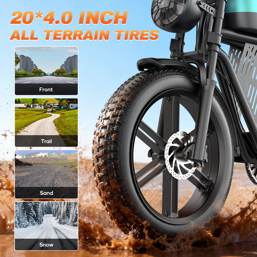 Tourii F30 20 inch adult electric bicycle, peak 1500W, LCD instrument all terrain off-road electric vehicle, suitable for mountains, snow, sand and highways