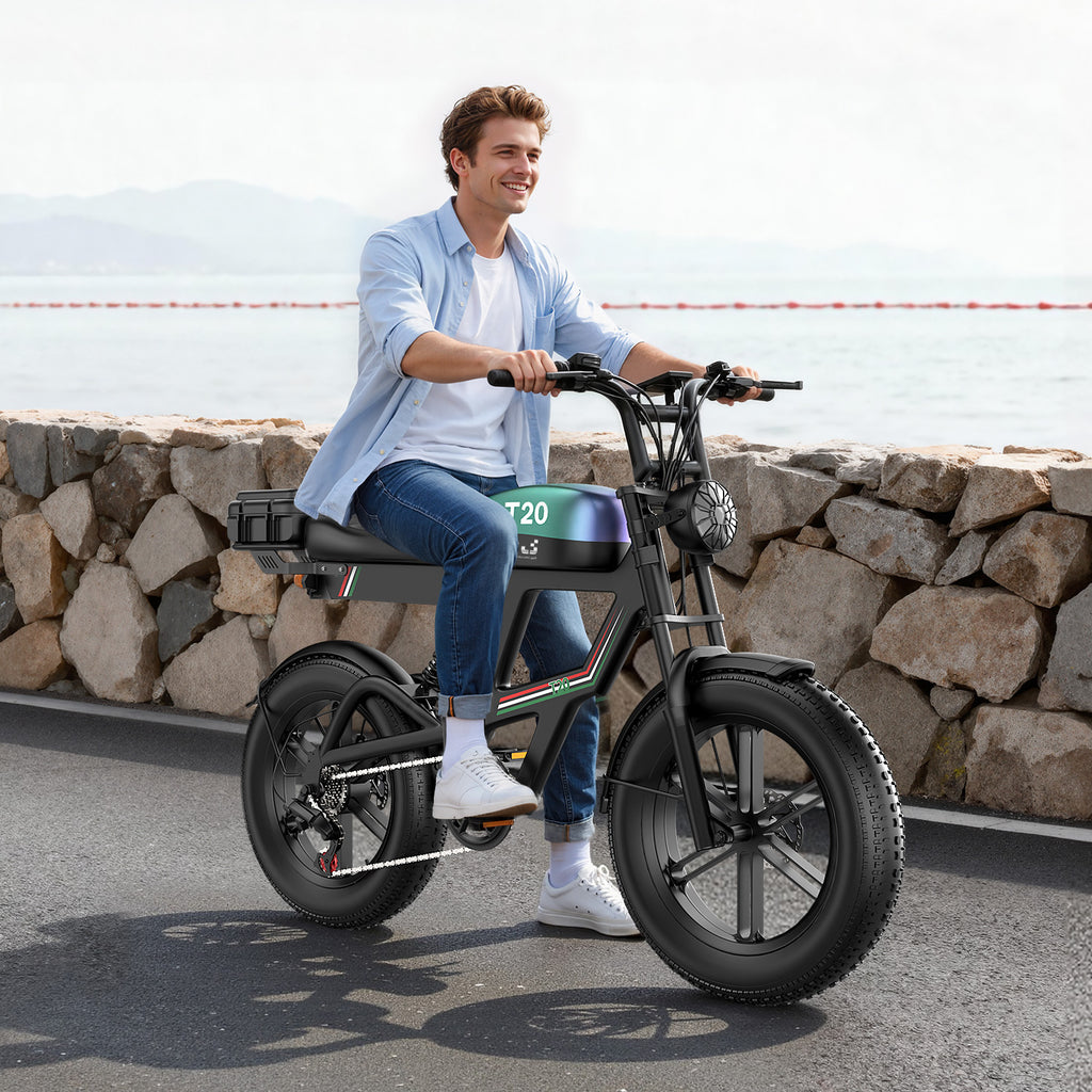 Tourii T20  retro electric motorcycle, fat tire, snow electric bicycle 20 inch